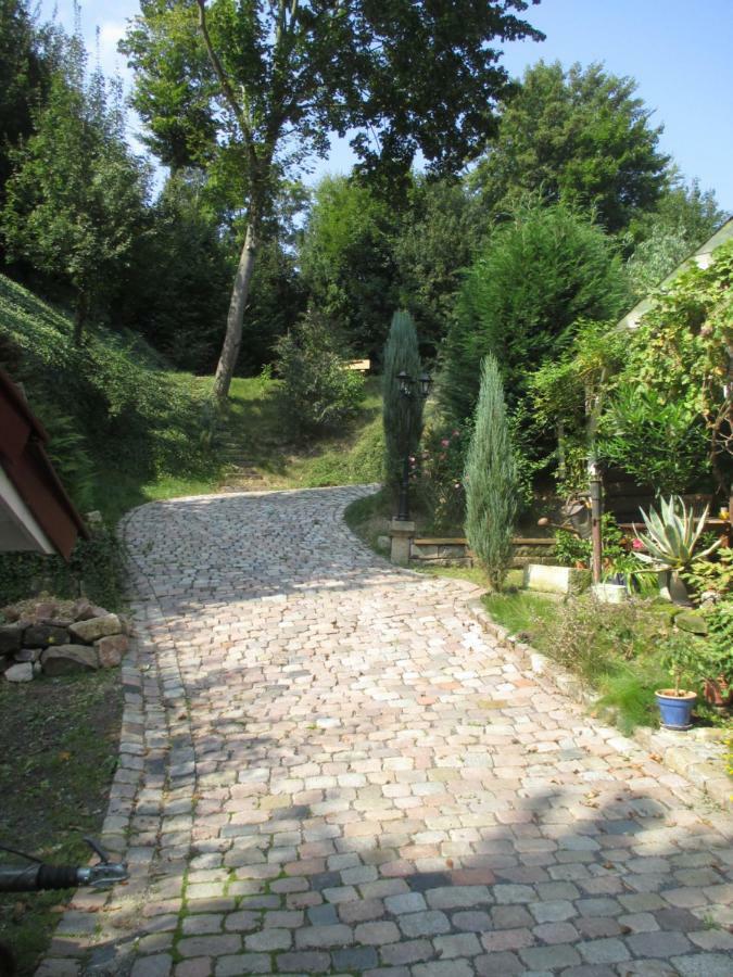 Stadtoase Meißen Εξωτερικό φωτογραφία