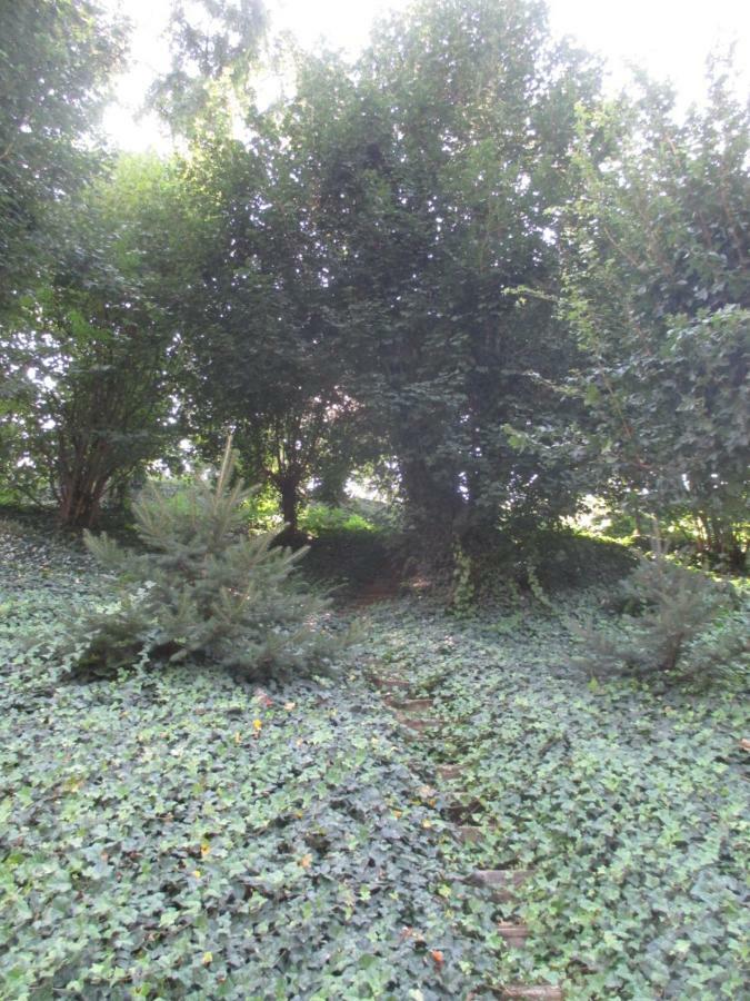 Stadtoase Meißen Εξωτερικό φωτογραφία
